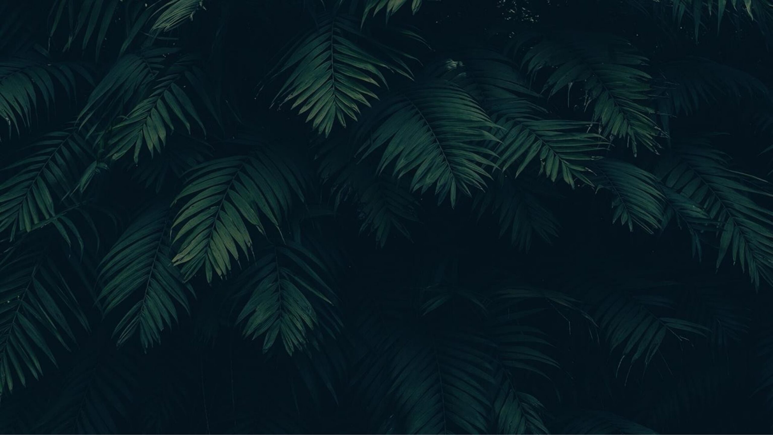 Semente Verde
